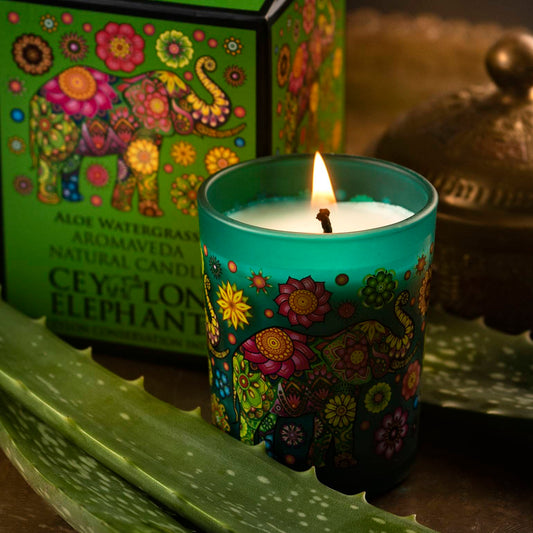 Ceylon Elephant Aloe Water Grass - Aromaveda Natural Candle 50g - Spa Ceylon Sri Lanka