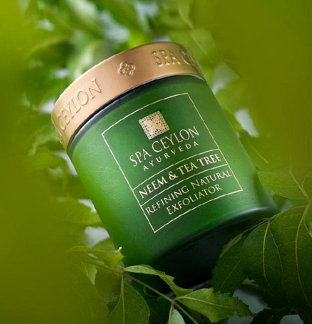 NEEM & TEA TREE -Â Refining Natural Exfoliator 200g-3492
