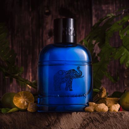 Forest Tribe Ceylon Elephant Eau De Perfume 100ml