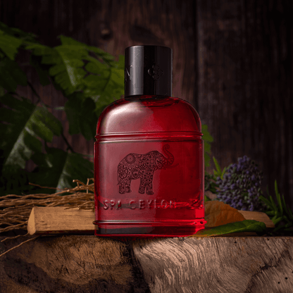 Forest Energy Ceylon Elephant Eau De Perfume 100ml