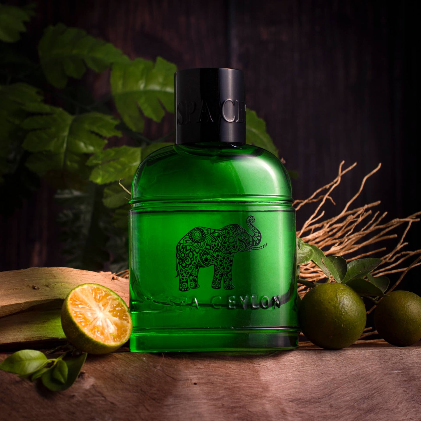 Forest Escape Ceylon Elephant Eau De Perfume 100ml